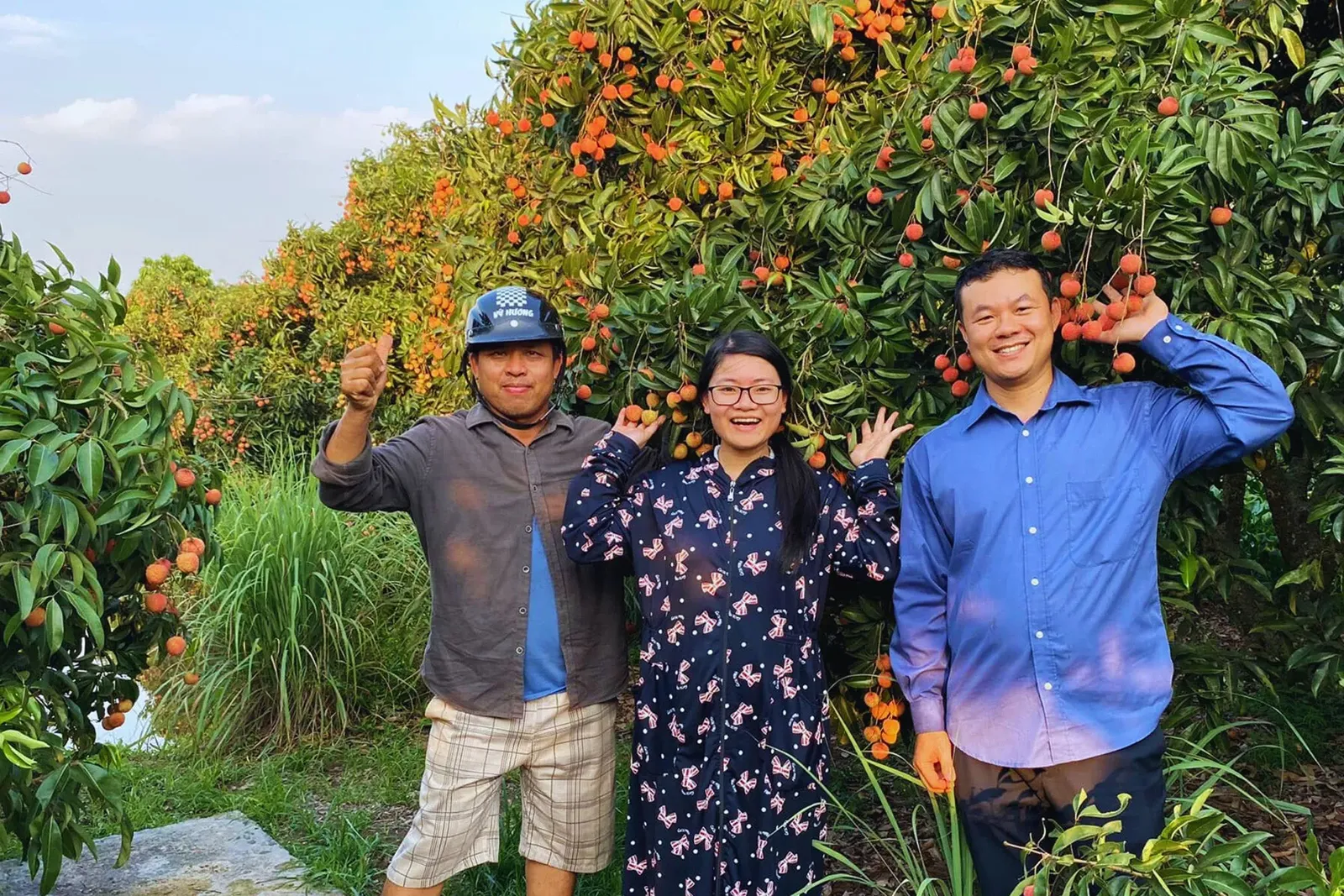 Hoàng Ngọc - Vải