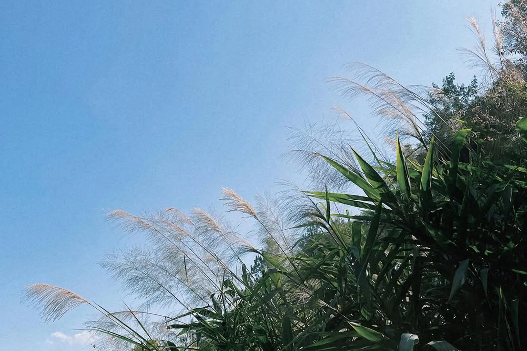 Vì sao ngày càng nhiều người trẻ “cắt đứt liên lạc” với cha mẹ?